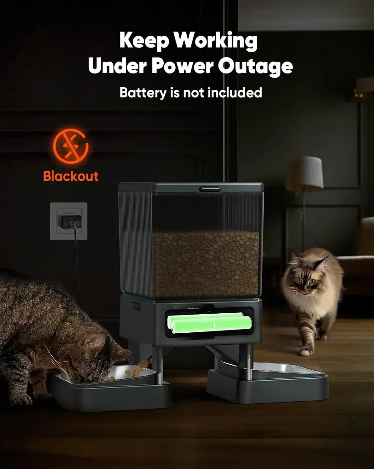 Automatic Cat Feeder