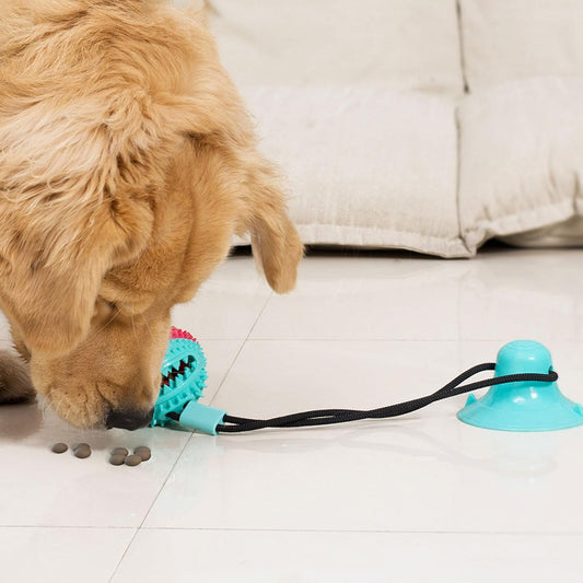 Suction Cup Treat Toy