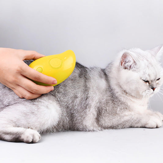 Steam Massage Hair Removal Brush