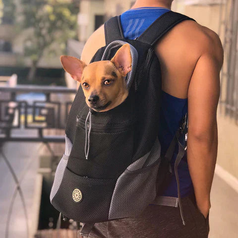 Pet Carrier Bag