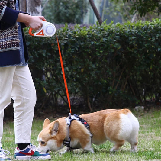 Automatic Retractable Dog Leash