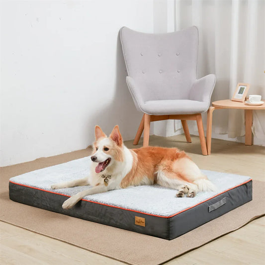 Premium Large Orthopedic Dog Bed